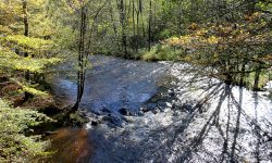 Randonnées en Morvan