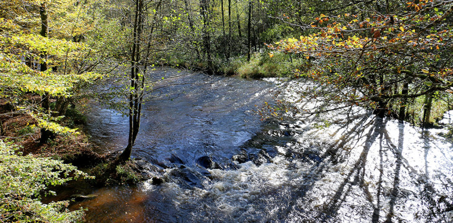 Randonnées en Morvan